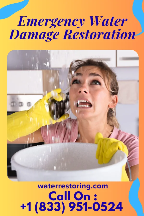 Emergency Water Damage Restoration in Manila, AR