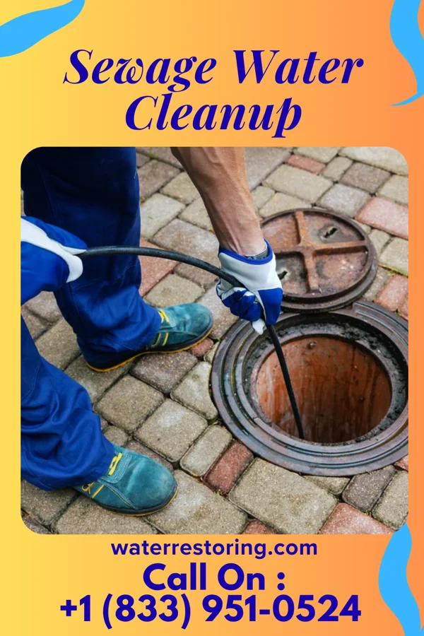 Sewage Water Cleanup in Manila, AR